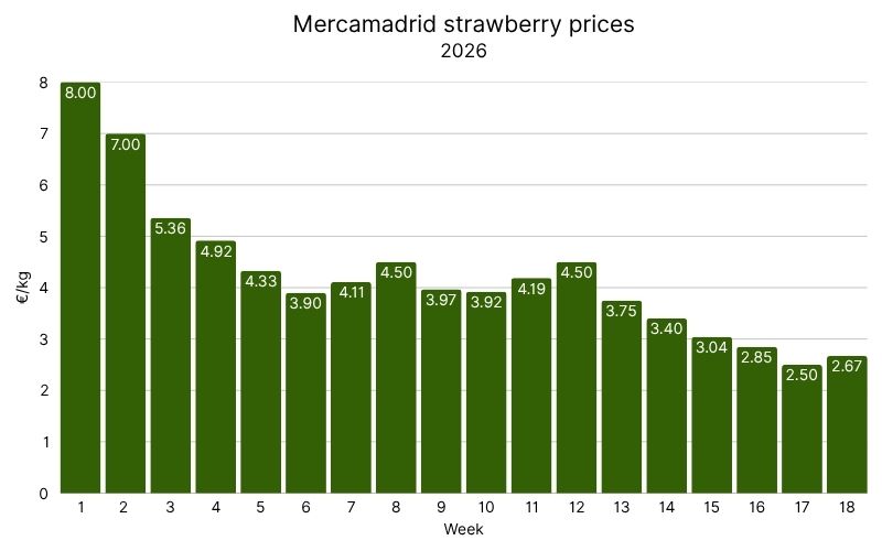 Strawberry prices in Mercamadrid, 2026 (9).jpg